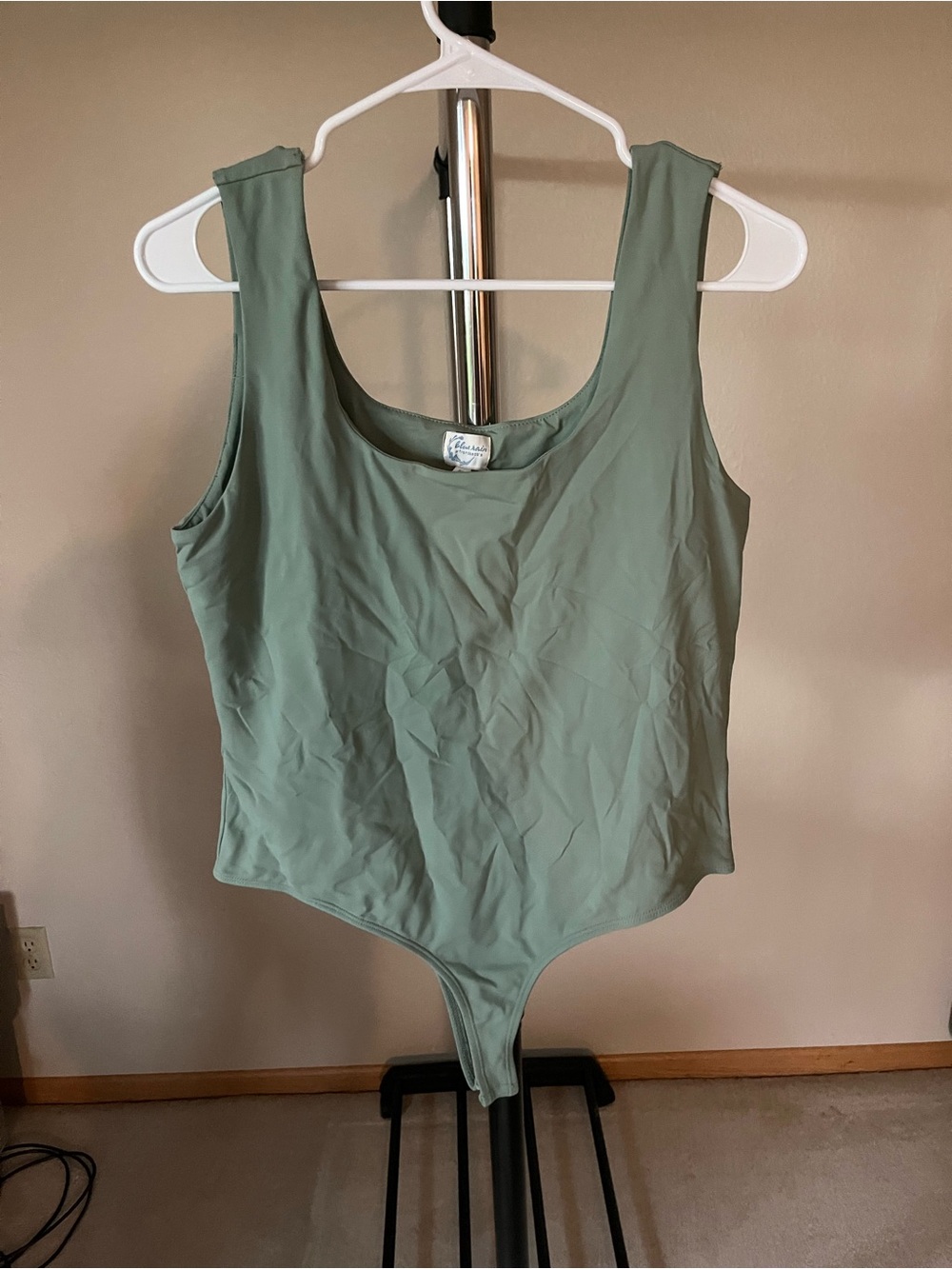 Francesca's Blue Rain Sage Green Scoop Neck Bodysuit